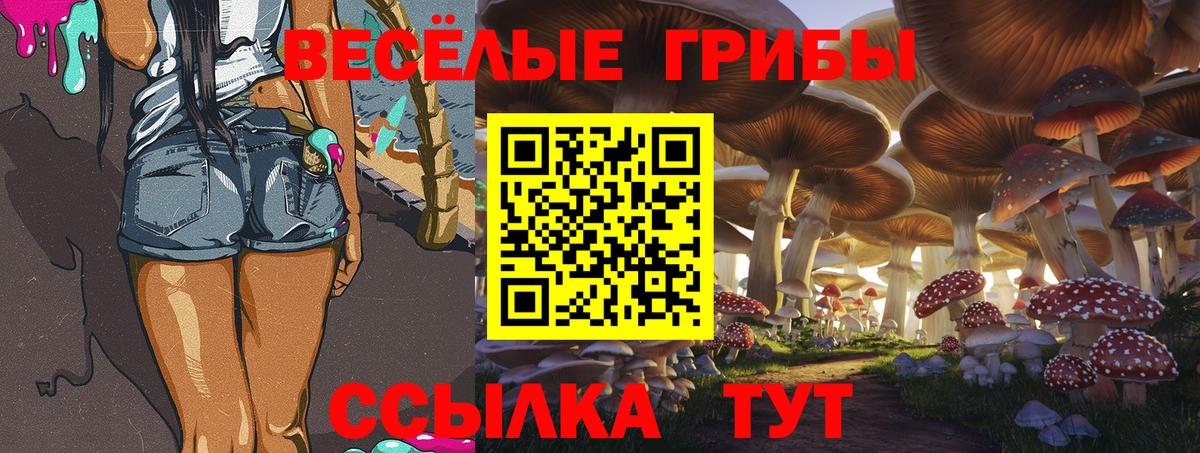 Галлюциногенные грибы Cubensis  даркнет сайт  Великие Луки  Вход с VPN 